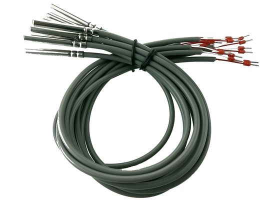 Platin-Widerstand-Mikrotemperaturfühler FTE-Klassen-B PT100 2 Meter-Länge mit Wohnung 6x50mm Edelstahl-304