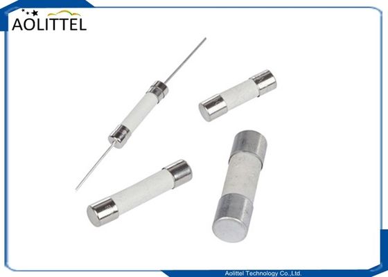 Hohes fungierendes keramisches Rohr des Ausschaltvermögen-6x32mm schnell fixiert F10A 250V 300V Wechselstrom-DC